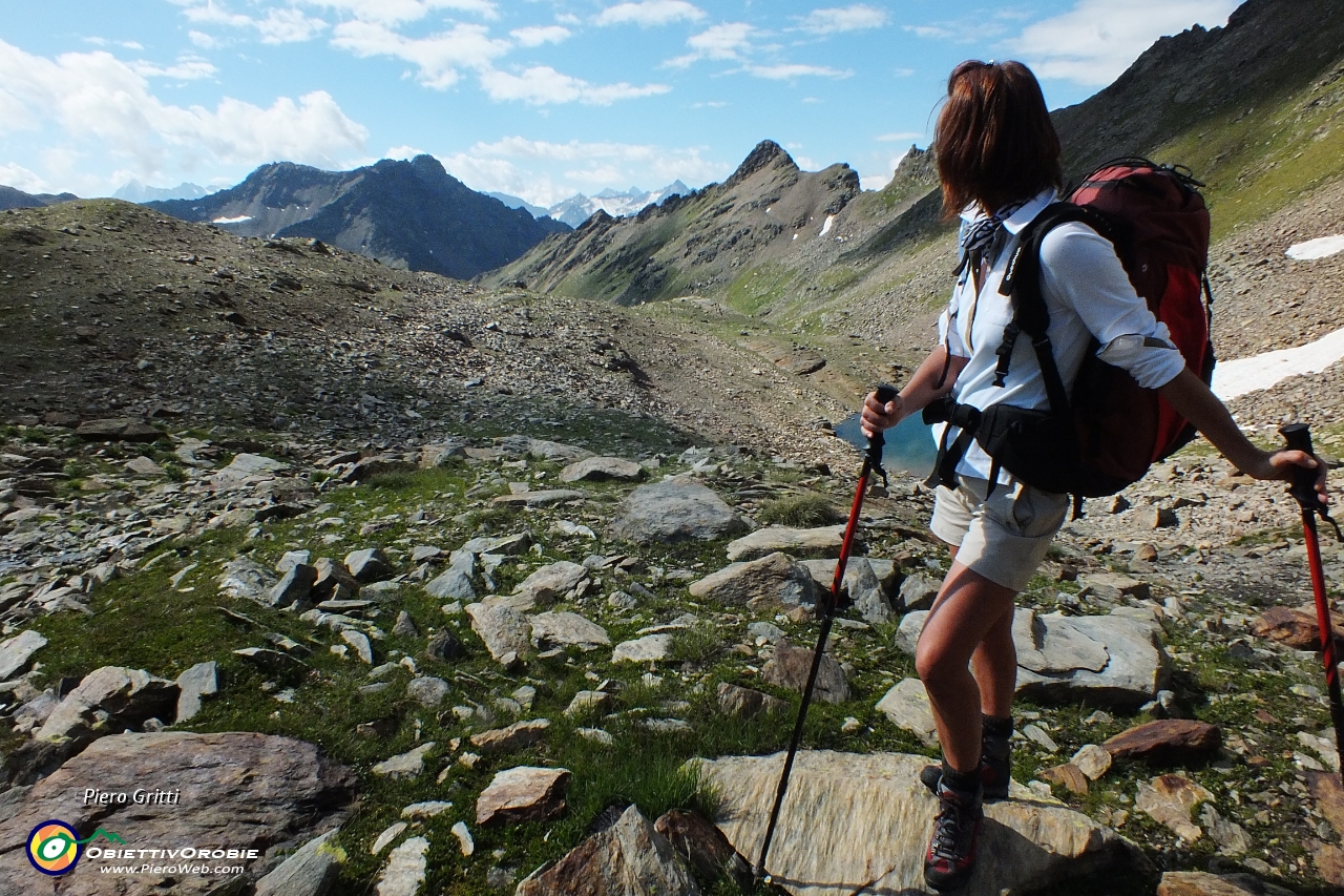 18 vista in Punta di Montozzo a dx, Punta d'Albiolo a sx, Adamello sullo sfondo.JPG